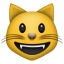 :smiley_cat: